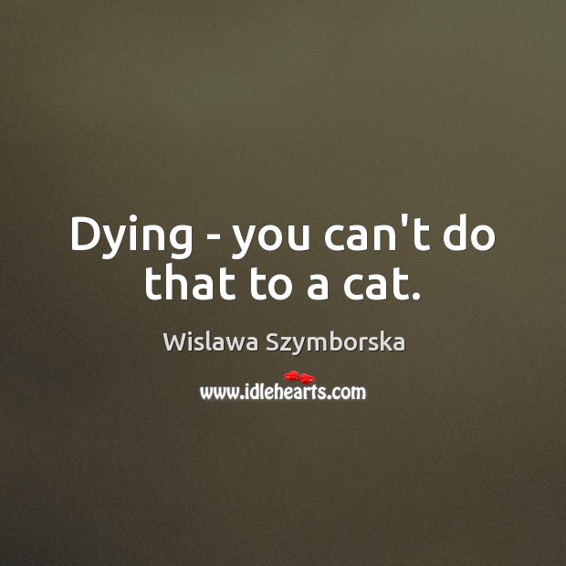 Dying – you can’t do that to a cat. Wislawa Szymborska Picture Quote