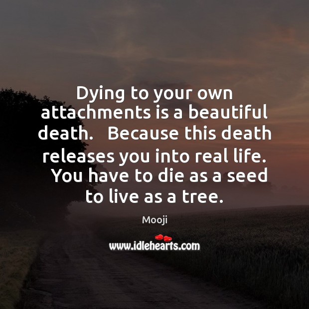 Dying to your own attachments is a beautiful death.   Because this death Mooji Picture Quote