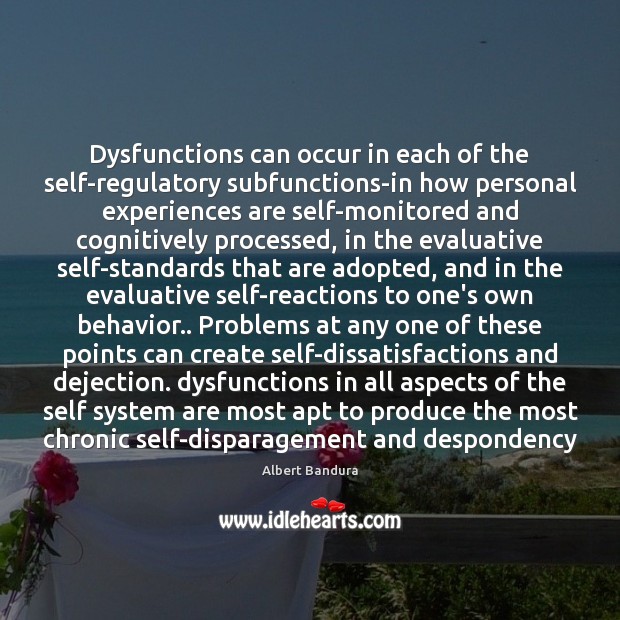 Dysfunctions can occur in each of the self-regulatory subfunctions-in how personal experiences Image