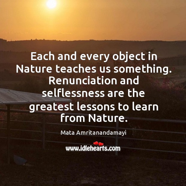 Each and every object in Nature teaches us something. Renunciation and selflessness Image