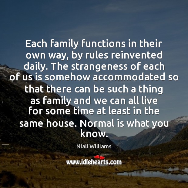 Each family functions in their own way, by rules reinvented daily. The Niall Williams Picture Quote