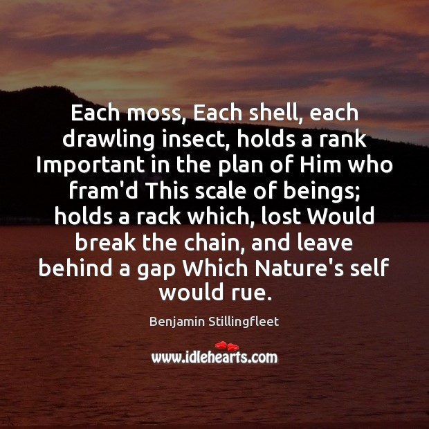 Each moss, Each shell, each drawling insect, holds a rank Important in Image
