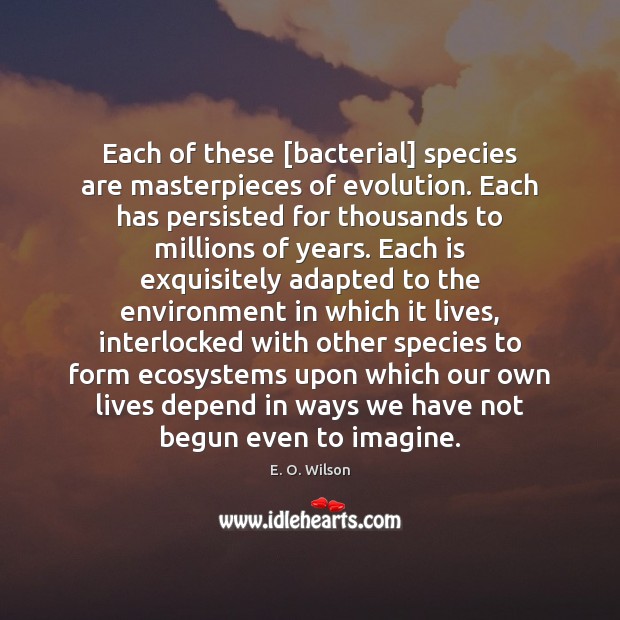 Each of these [bacterial] species are masterpieces of evolution. Each has persisted Environment Quotes Image