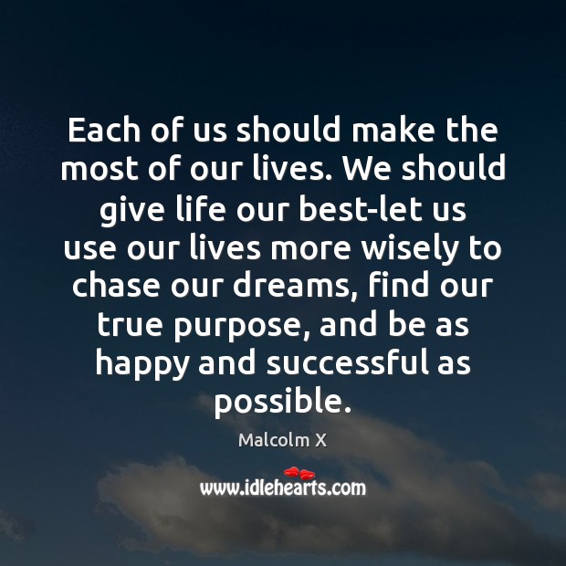 Each of us should make the most of our lives. We should Malcolm X Picture Quote
