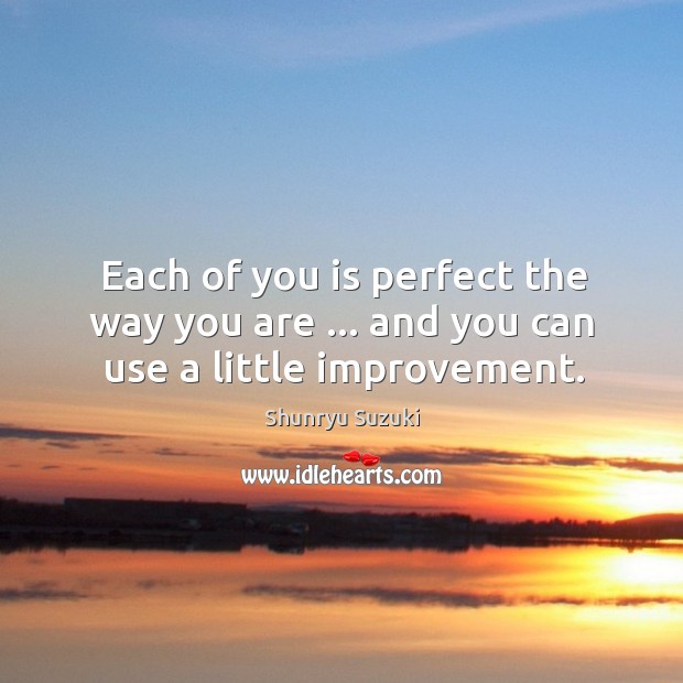 Each of you is perfect the way you are … and you can use a little improvement. Shunryu Suzuki Picture Quote