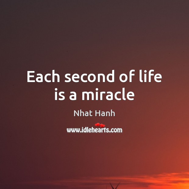 Each second of life is a miracle Image