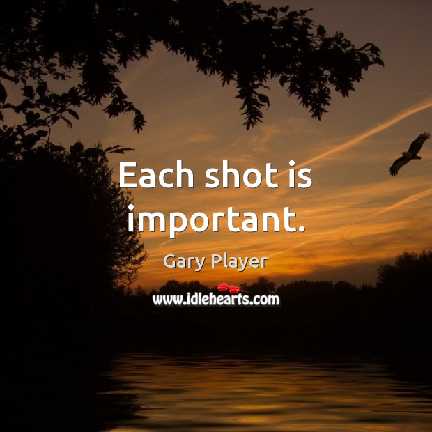 Each shot is important. Gary Player Picture Quote