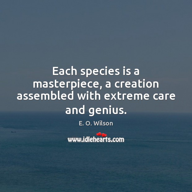 Each species is a masterpiece, a creation assembled with extreme care and genius. Image