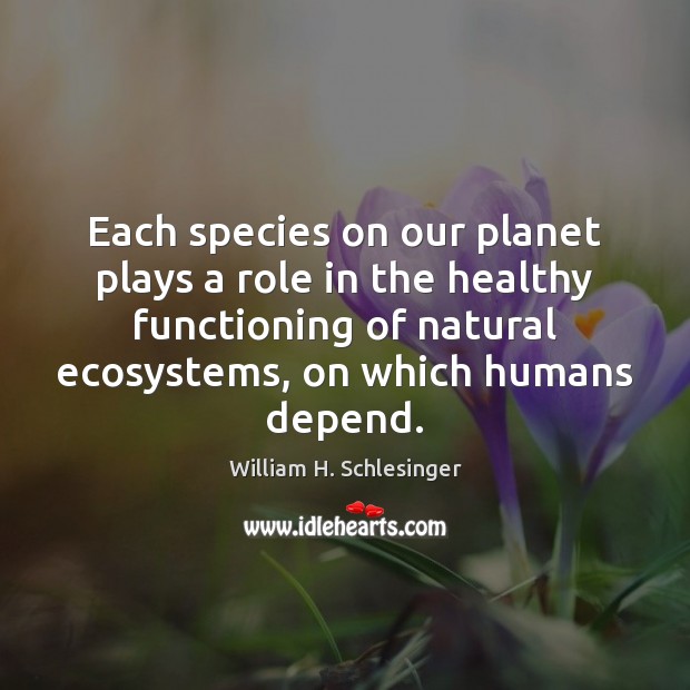 Each species on our planet plays a role in the healthy functioning Image