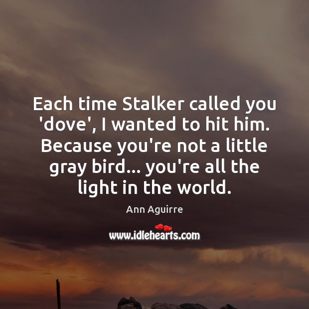 Each time Stalker called you ‘dove’, I wanted to hit him. Because Ann Aguirre Picture Quote