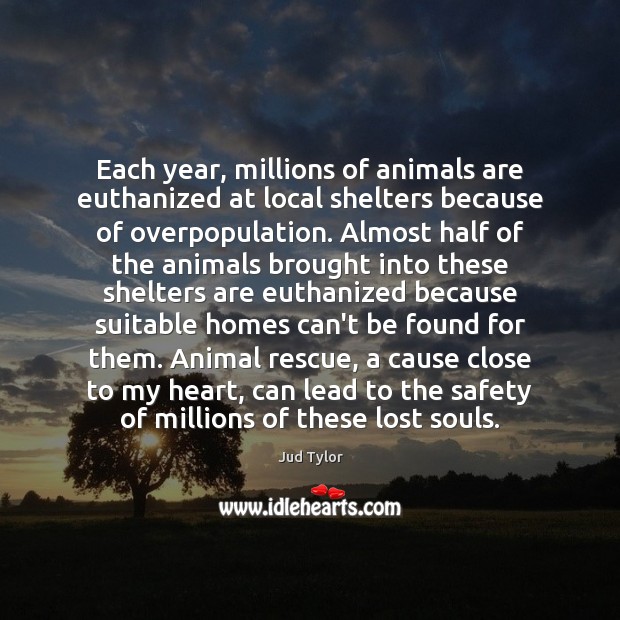 Each year, millions of animals are euthanized at local shelters because of Jud Tylor Picture Quote