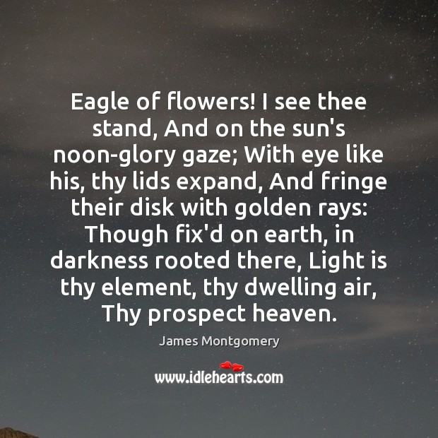 Eagle of flowers! I see thee stand, And on the sun’s noon-glory James Montgomery Picture Quote