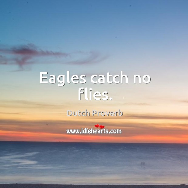 Eagles catch no flies. Dutch Proverbs Image