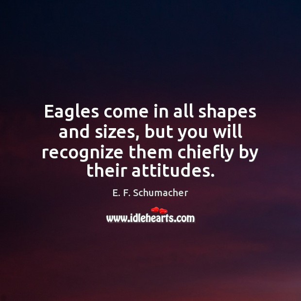 Eagles come in all shapes and sizes, but you will recognize them E. F. Schumacher Picture Quote