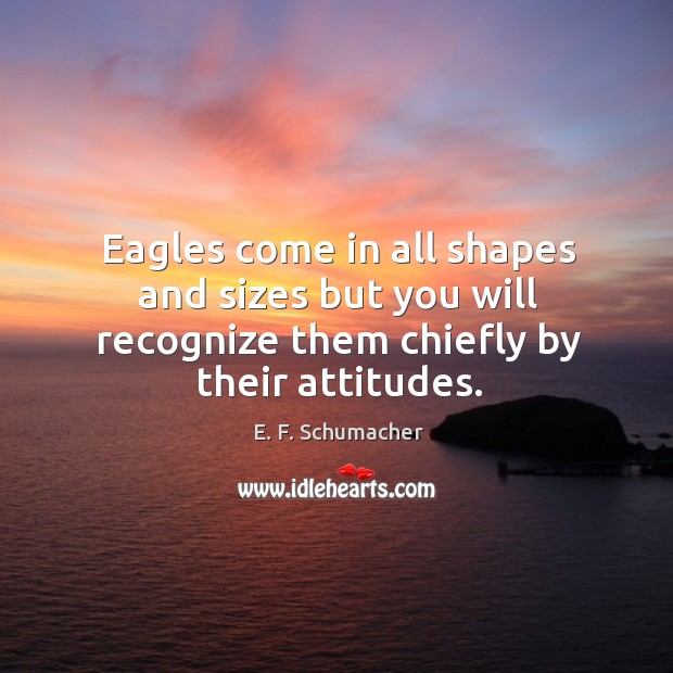 Eagles come in all shapes and sizes but you will recognize them chiefly by their attitudes. Image