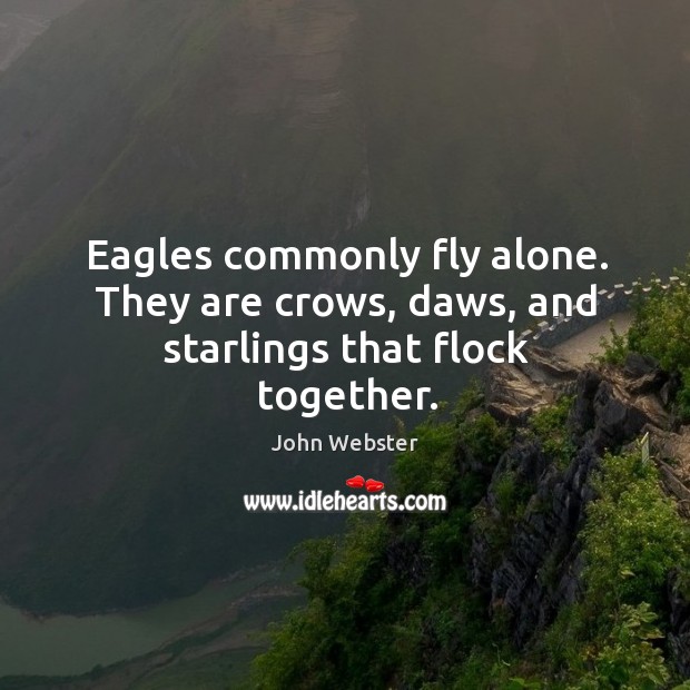 Eagles commonly fly alone. They are crows, daws, and starlings that flock together. Image