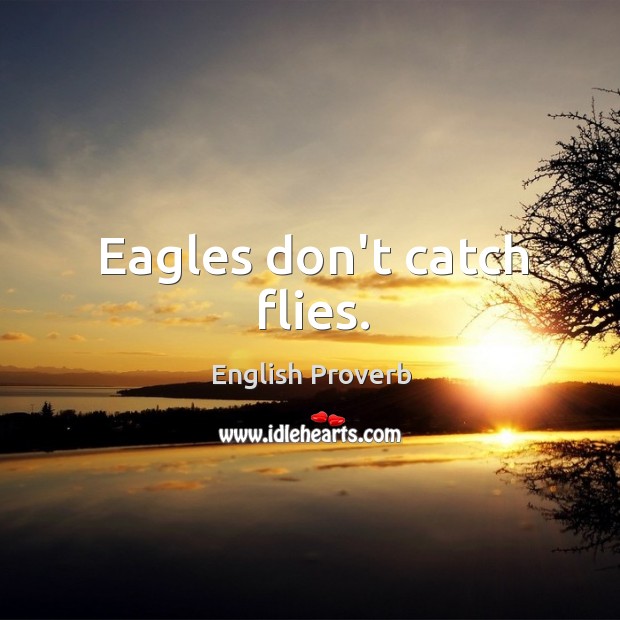 Eagles don’t catch flies. English Proverbs Image