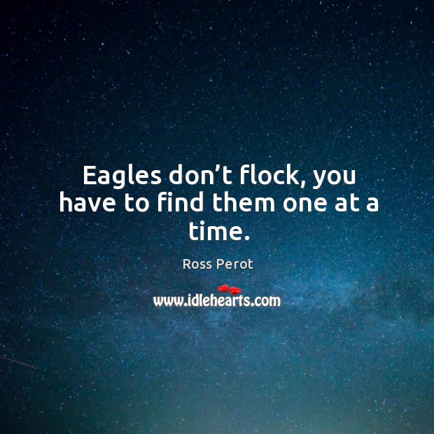 Eagles don’t flock, you have to find them one at a time. Image