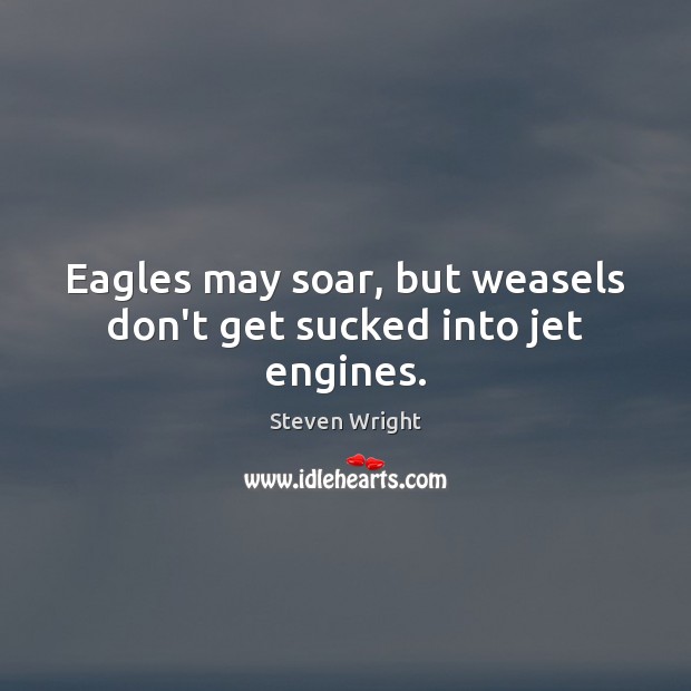 Eagles may soar, but weasels don’t get sucked into jet engines. Image