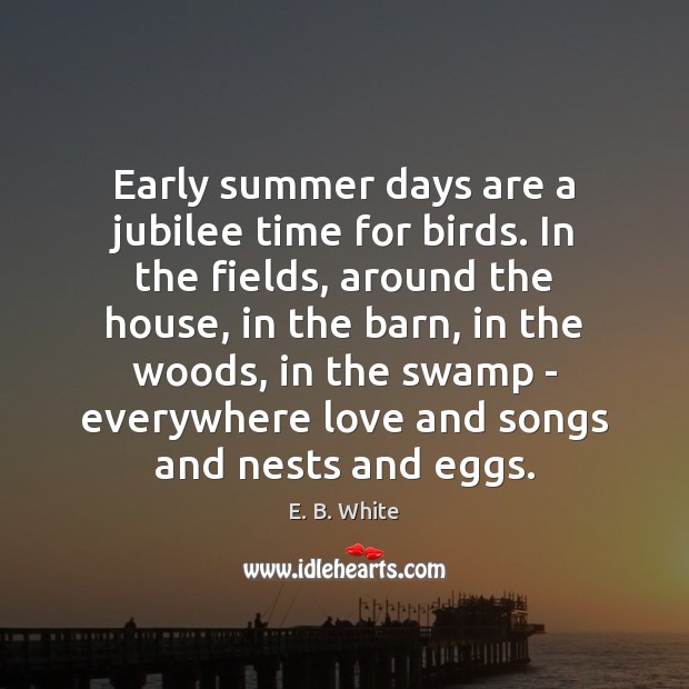 Early summer days are a jubilee time for birds. In the fields, E. B. White Picture Quote