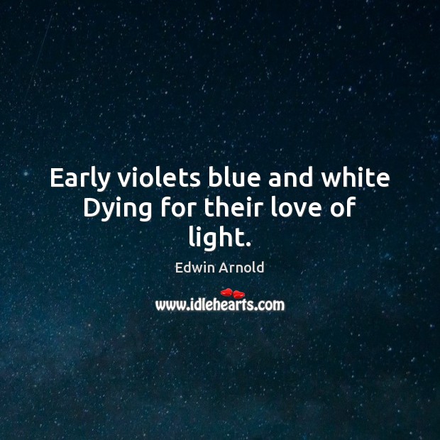 Early violets blue and white Dying for their love of light. Edwin Arnold Picture Quote