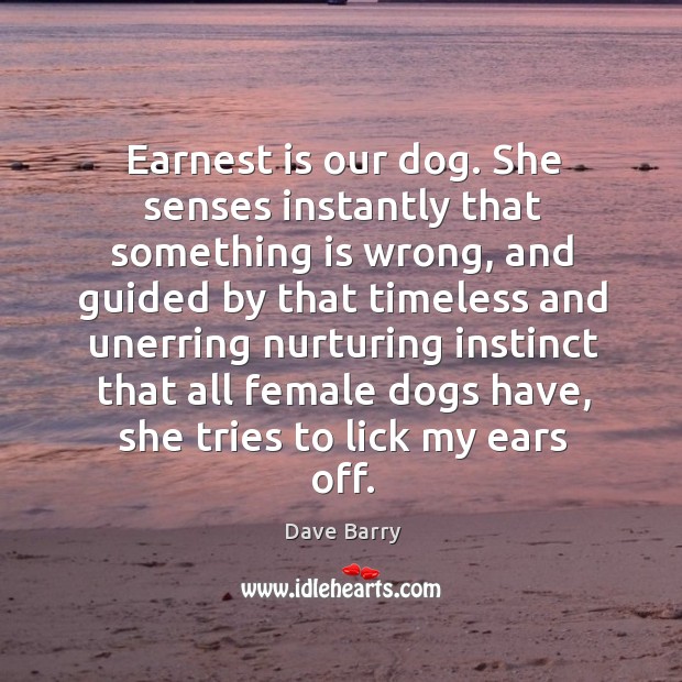 Earnest is our dog. She senses instantly that something is wrong, and Dave Barry Picture Quote