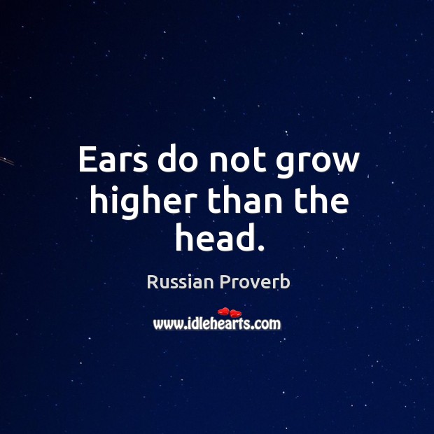 Ears do not grow higher than the head. Russian Proverbs Image