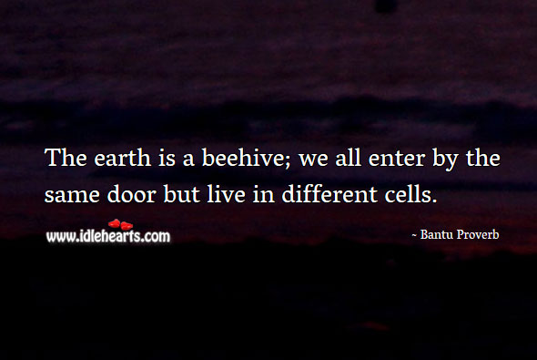 The earth is a beehive; we all enter by the same door but live in different cells. Bantu Proverbs Image