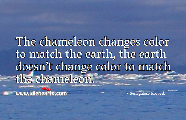 The chameleon changes color to match the earth. Senegalese Proverbs Image