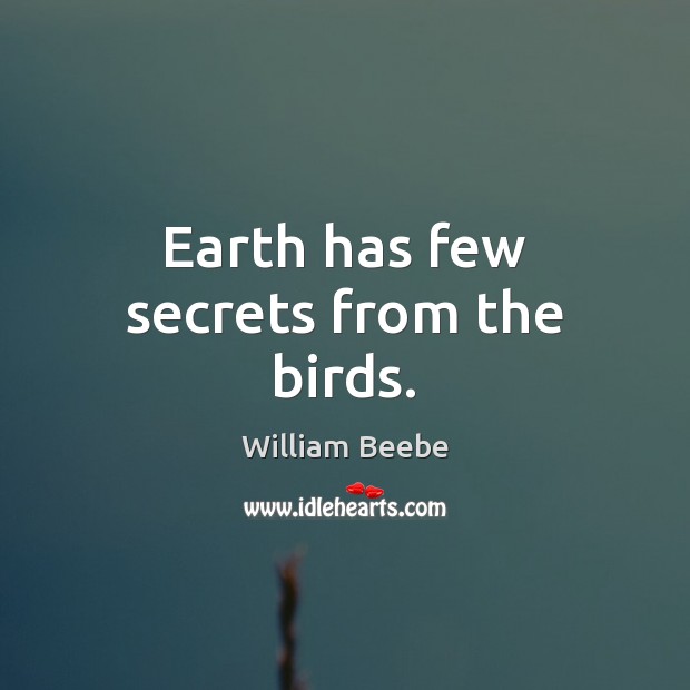 Earth has few secrets from the birds. William Beebe Picture Quote