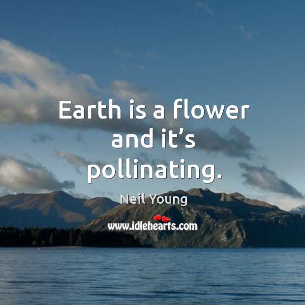 Earth is a flower and it’s pollinating. Image