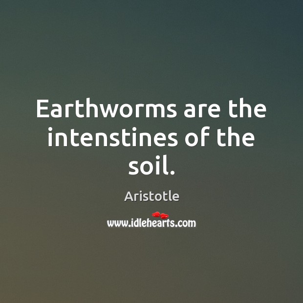Earthworms are the intenstines of the soil. Aristotle Picture Quote