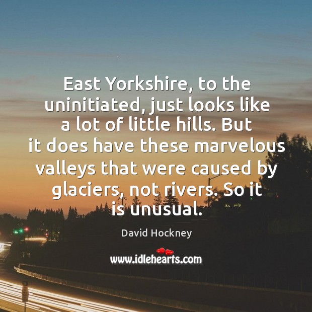 East Yorkshire, to the uninitiated, just looks like a lot of little David Hockney Picture Quote