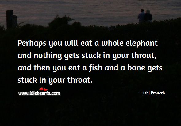 Perhaps you will eat a whole elephant and nothing gets stuck in your throat, and then you eat a fish and a bone gets stuck in your throat. Tshi Proverbs Image