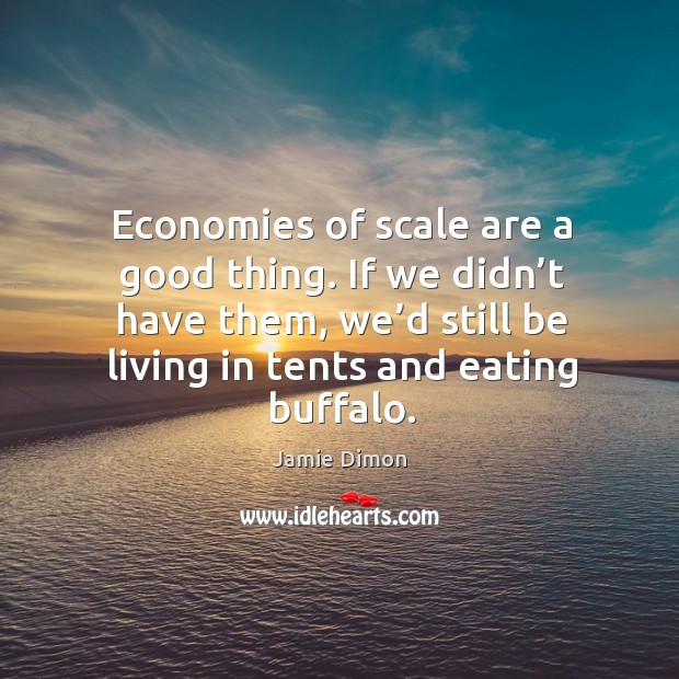 Economies of scale are a good thing. If we didn’t have them, we’d still be living in tents and eating buffalo. Jamie Dimon Picture Quote