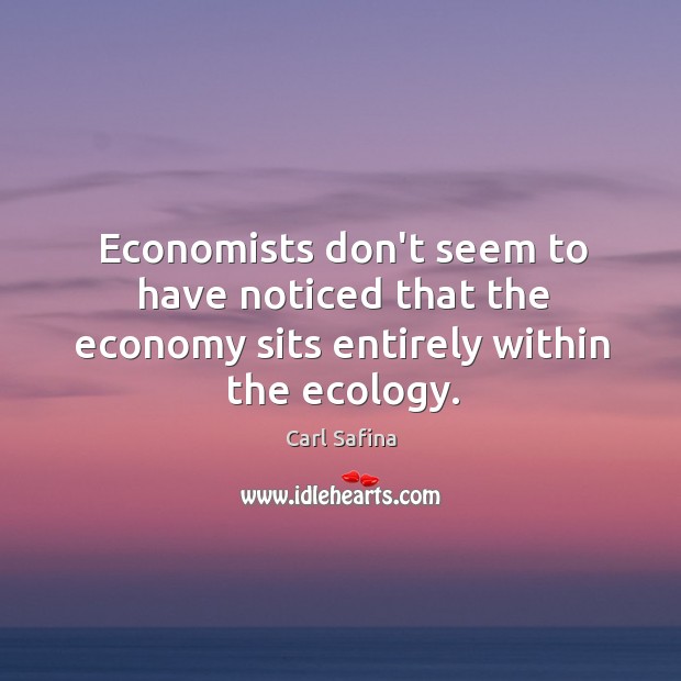 Economists don’t seem to have noticed that the economy sits entirely within the ecology. Carl Safina Picture Quote