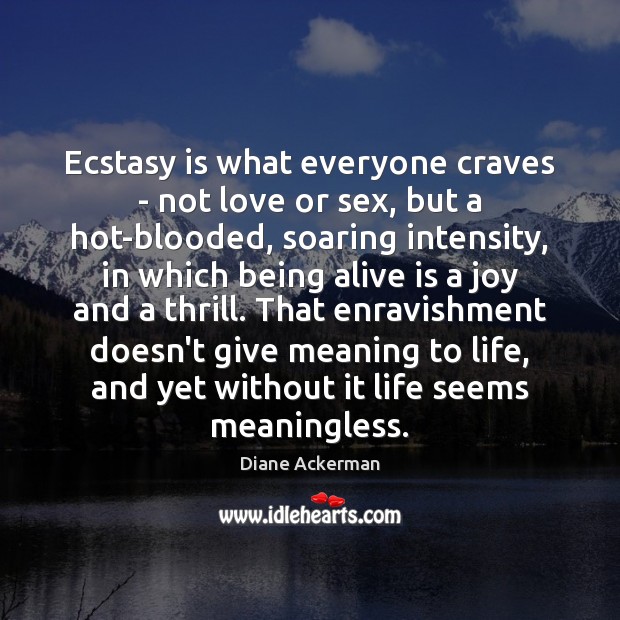 Ecstasy is what everyone craves – not love or sex, but a Diane Ackerman Picture Quote