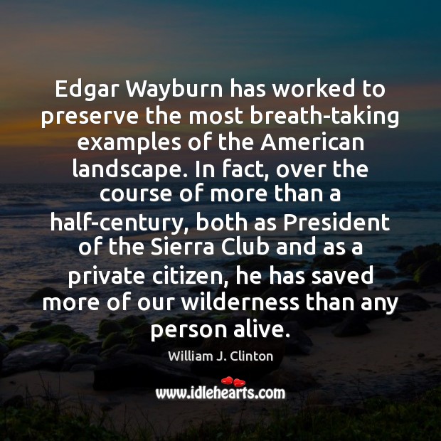 Edgar Wayburn has worked to preserve the most breath-taking examples of the Image