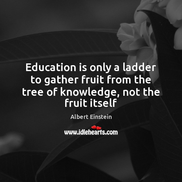 Education is only a ladder to gather fruit from the tree of Image