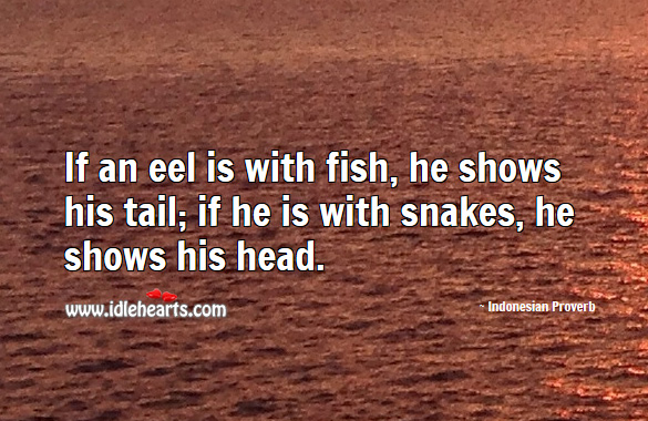 If an eel is with fish, he shows his tail; if he is with snakes, he shows his head. Indonesian Proverbs Image