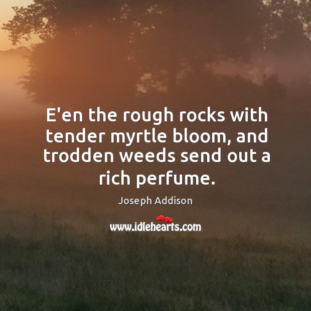 E’en the rough rocks with tender myrtle bloom, and trodden weeds send out a rich perfume. Image
