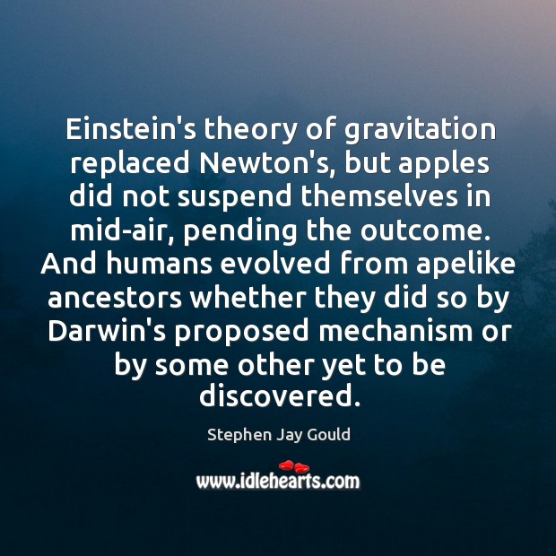 Einstein’s theory of gravitation replaced Newton’s, but apples did not suspend themselves Stephen Jay Gould Picture Quote