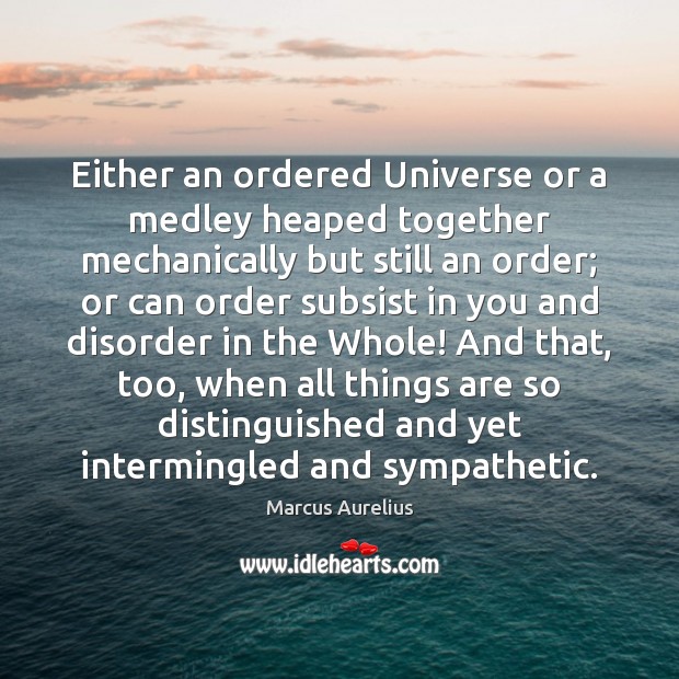 Either an ordered Universe or a medley heaped together mechanically but still Image
