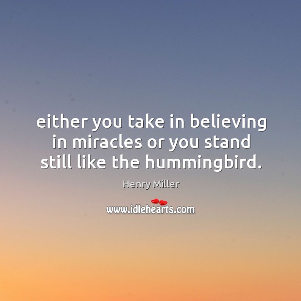 Either you take in believing in miracles or you stand still like the hummingbird. Image