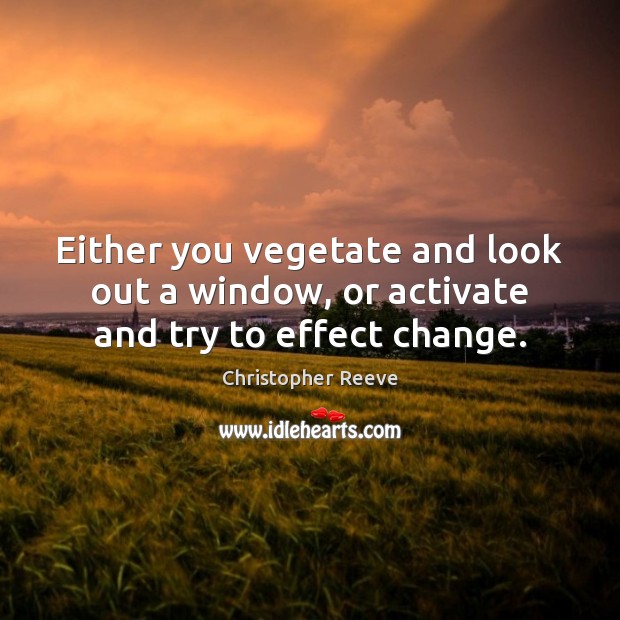 Either you vegetate and look out a window, or activate and try to effect change. Christopher Reeve Picture Quote