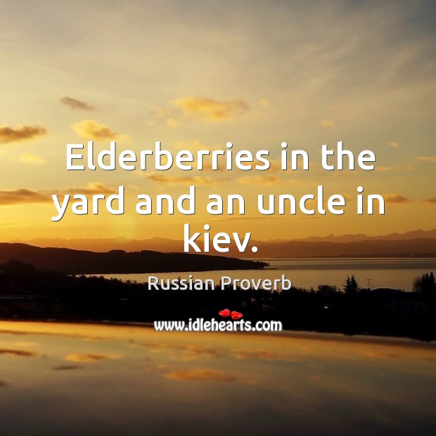 Elderberries in the yard and an uncle in kiev. Image