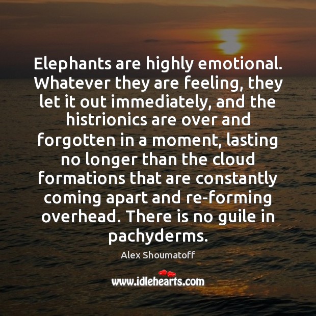 Elephants are highly emotional. Whatever they are feeling, they let it out Image