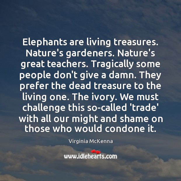 Elephants are living treasures. Nature’s gardeners. Nature’s great teachers. Tragically some people Image