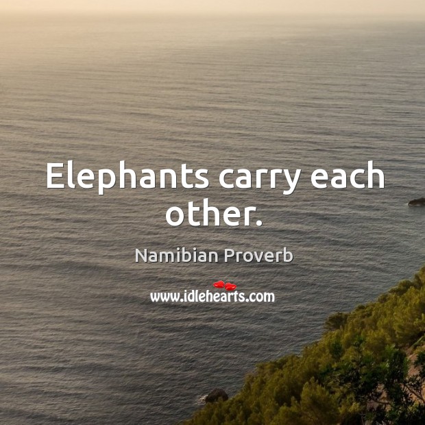 Elephants carry each other. Namibian Proverbs Image