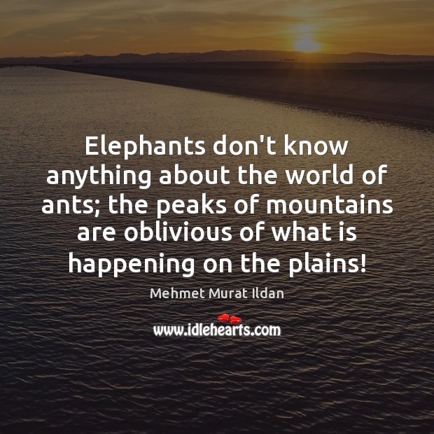 Elephants don’t know anything about the world of ants; the peaks of Image